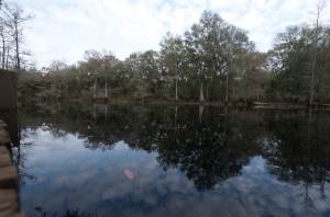 Withlacoochee River Park